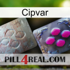 Cipvar 38